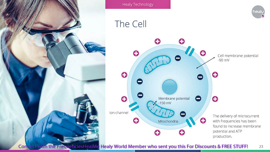 healy, maghealy, MagHealy, edition, magHealy, mag healy, machealy, Machealy, mchealy, device, magnetic, fsm, frequency, specific, microcurrent, frequency specific microcurrent, field, environment, water, air, carolyn, mcmakin, carolyn mcmakin, holistic, wellbeing, meet, coupon code, distributor, discount, app, modules, module, apps