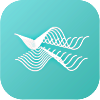Healy, healy, maghealy, magnetic field, wellness, FSM, holistic, health, device, app, distributor, holistic health Module,  Healy Device, MagHealy, mind, body, environment, harmony, harmonization, holistic health